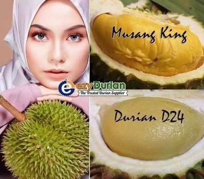 Harga durian kampung 2021