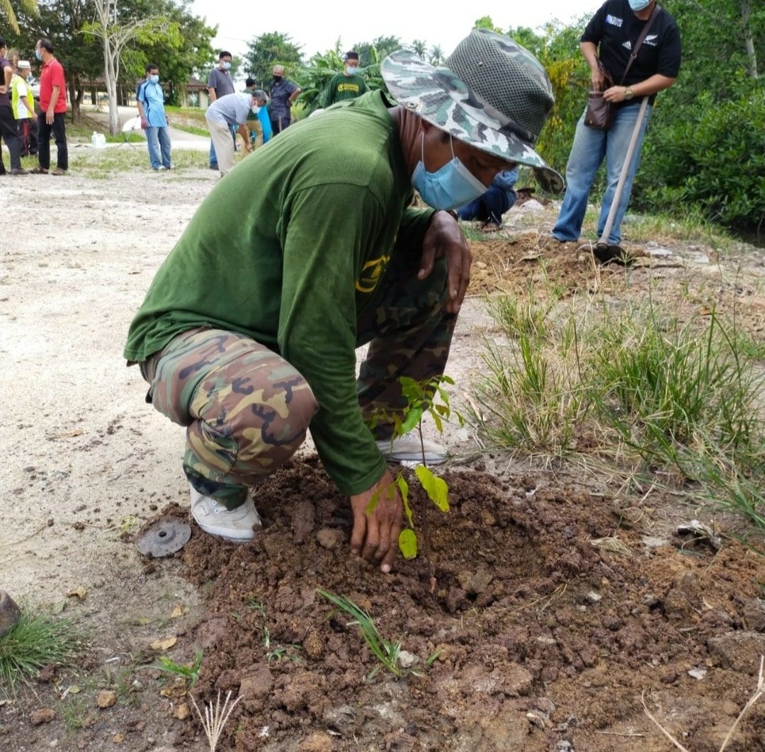 Semarak NAFAS 2021, Kempen Penanaman 100 Juta Pokok Dan Aplikasi ...