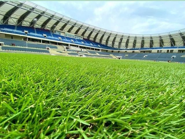 Rumput Zeon Zoysia ‘hadiah’ TMJ kepada Harimau Malaya, ini fakta menarik ‘rumput bertaraf dunia’